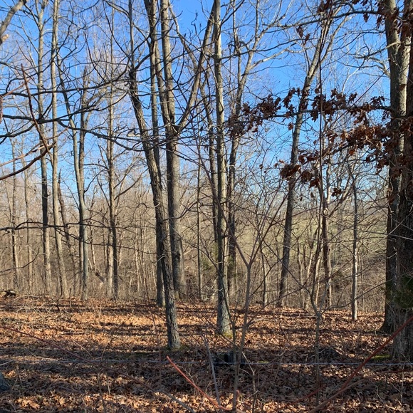 Welcome, come say hello!💕✨ - Picture 7 of 11